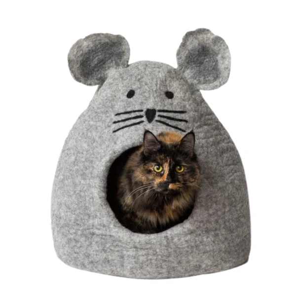Solid Pets on Broadway World-Class
