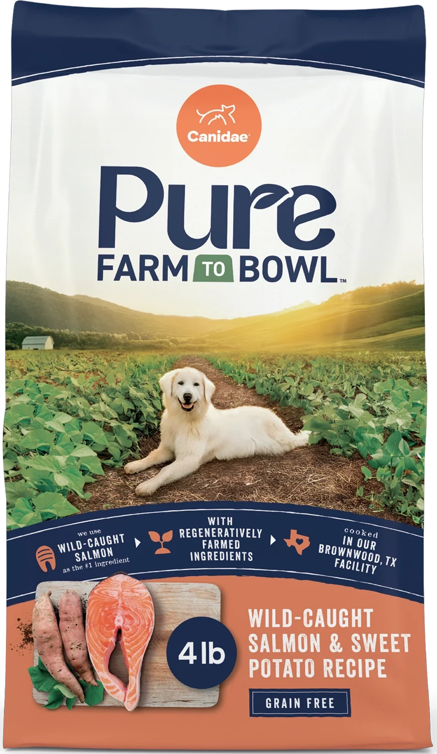 Efficient Canidae Pure Goodness Grain- Adult Dry Dog Food Salmon Sweet Potato 4-lb Comfortable