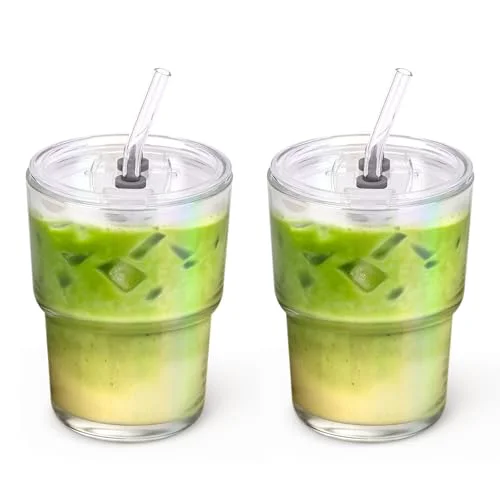 Unique 13 oz Glass Tumbler with Glass Straw and Lid 2 Count Responsible