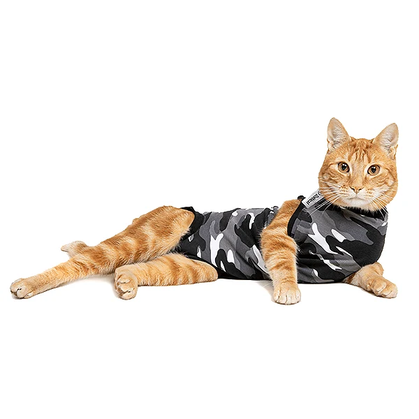 Premium Material Pets on Broadway Prestigious