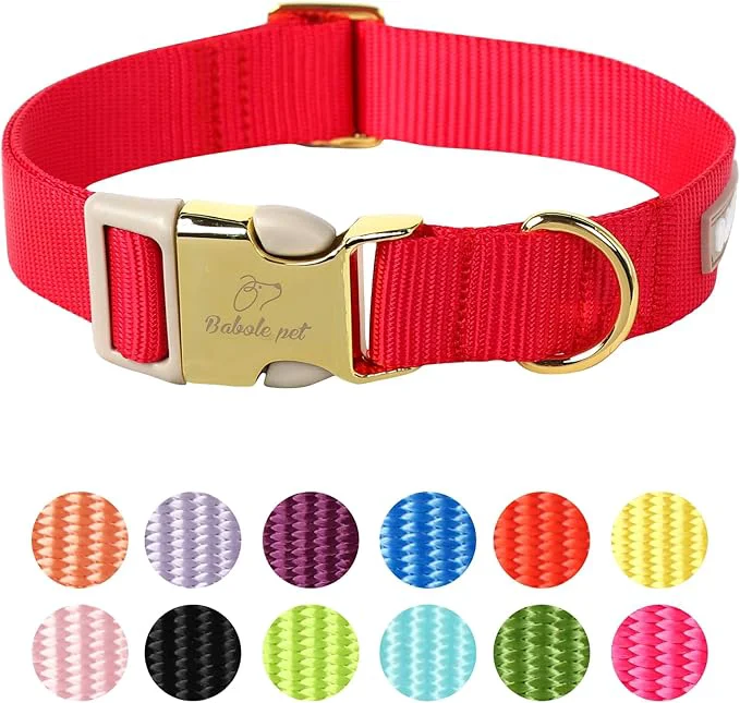 Expertly Made Nylon Dog Collar Advanced