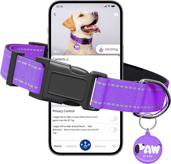 Reliable Reflective Dog Collar for Extra Small Dogs Crafted