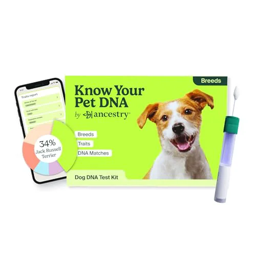 Flexible AncestryDNA Dog DNA Test – At-Home Breed Identification Trait Insights Environmentally Friendly