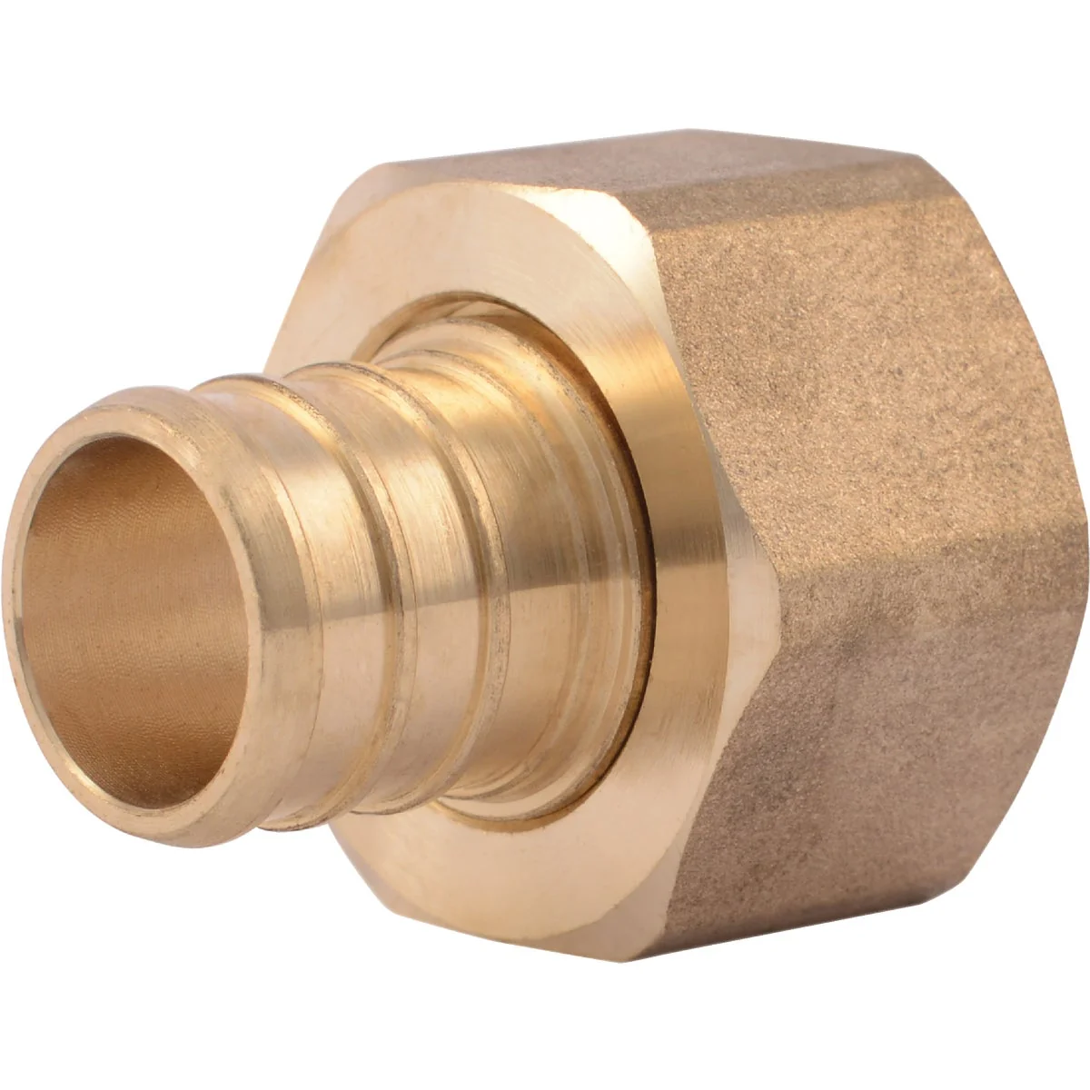 Solid SharkBite 3 4 In. Barb x 3 4 In. FPT Brass PEX Adapter Enhanced