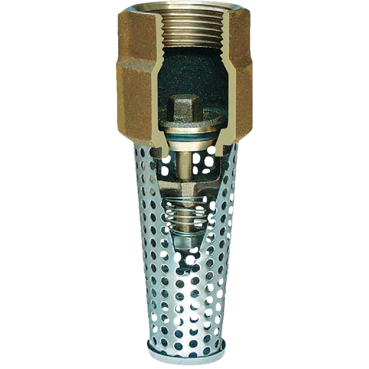 Certified Simmons 1 In. Silicon Bronze Foot Valve Lead Prestigious