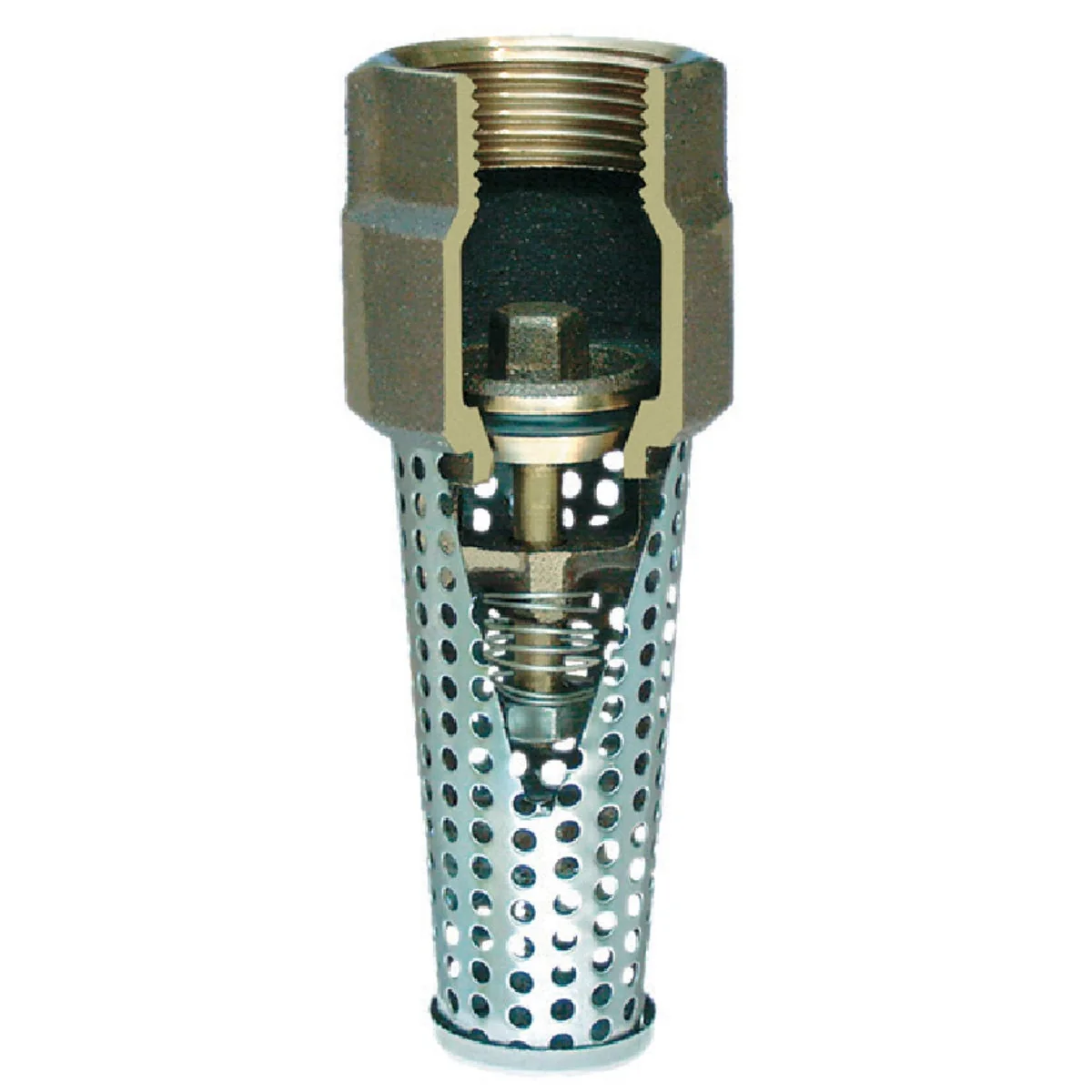 Practical Simmons 3 4 In. Silicon Bronze Foot Valve Lead Authentic