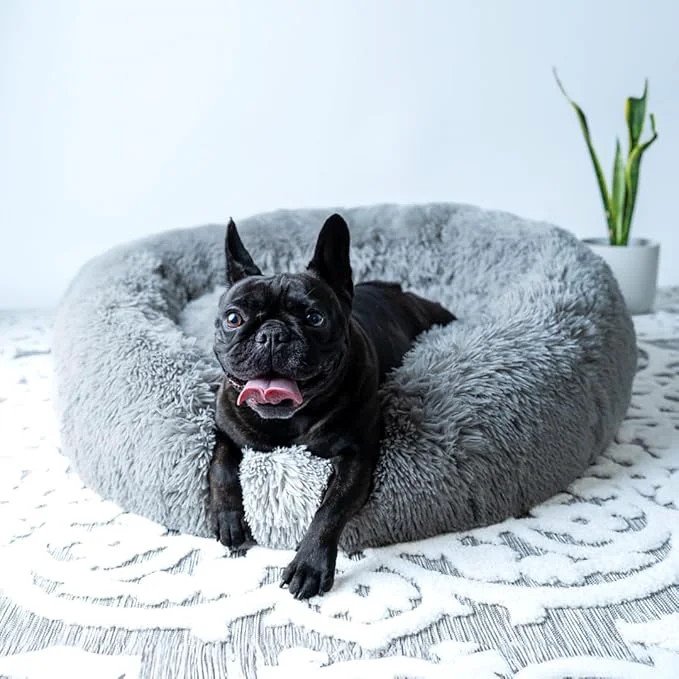 Proven Anti-Anxiety Calming Donut Washable Large Bed for Medium Dog Frenchie Friendly Minimalist