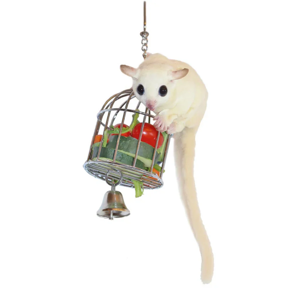 Easy-to-Use Pets on Broadway Genuine
