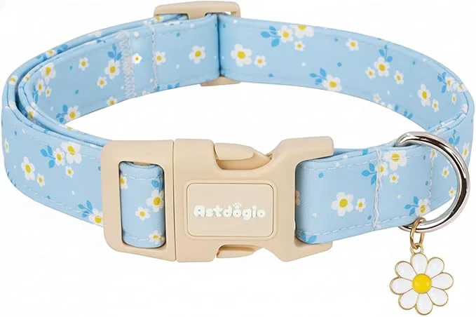 Excellent Dog Collar for Small Medium Large Dogs Spring Blue Dog Collars Environmentally Friendly