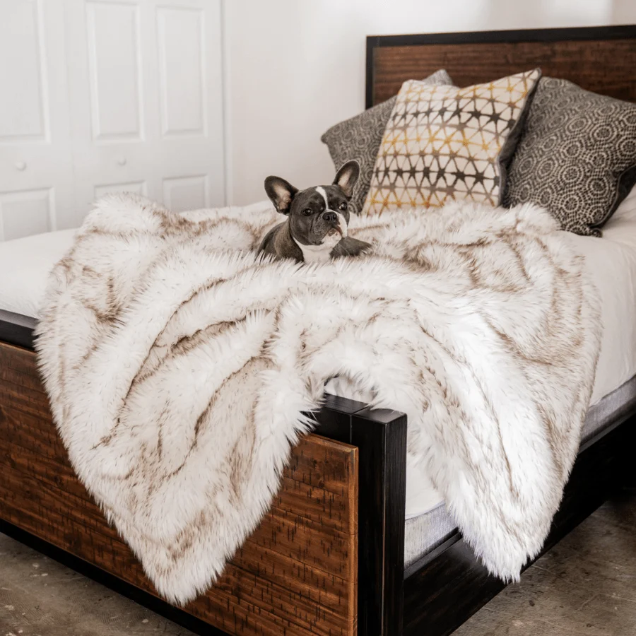 Specialty PupProtector™ Waterproof Throw Blanket – White with Brown Accents Premium Material