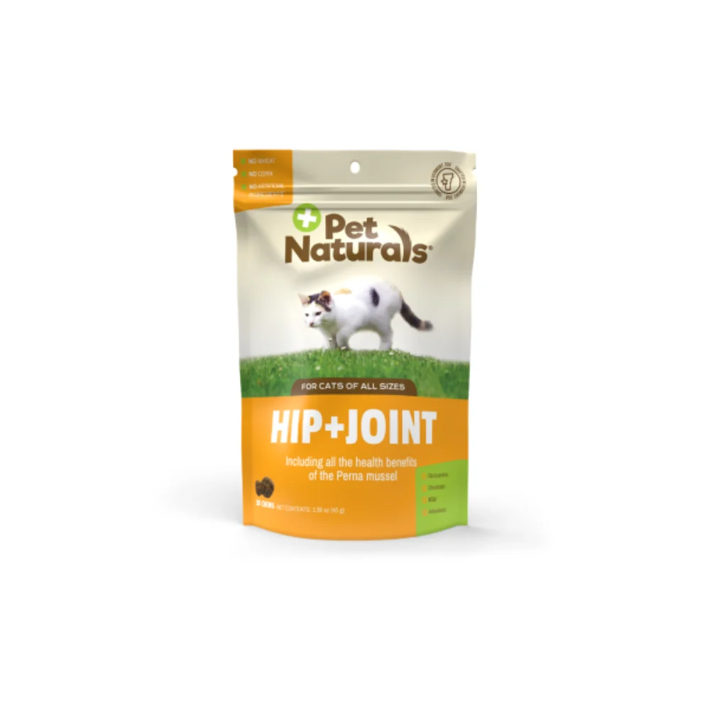 Expertly Made Pets on Broadway Environmentally Friendly