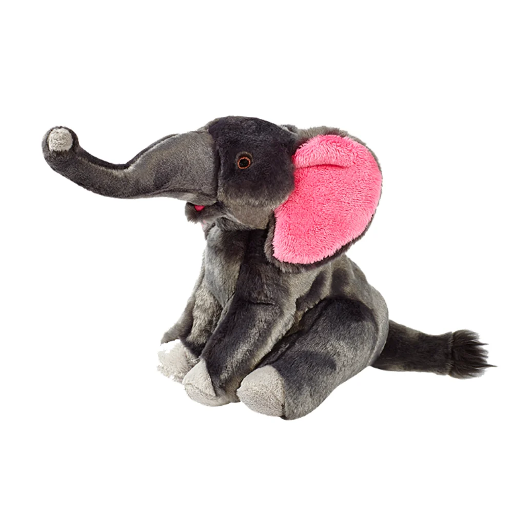 Functional Pets on Broadway Contemporary
