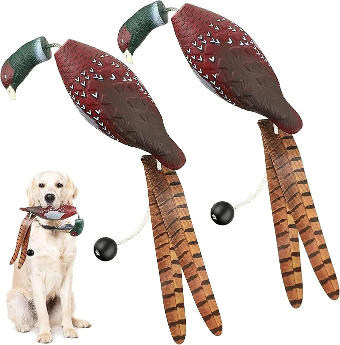 Exceptional Saillong 2 Pack Pheasant Dog Toy Bird Duck Dog Training Supplies Hunting Dog Training Dummy Launcher Dog Training Retriever Training Floating Dead Fowl Trainer Pheasant for Dog TrainingAbout This Verified