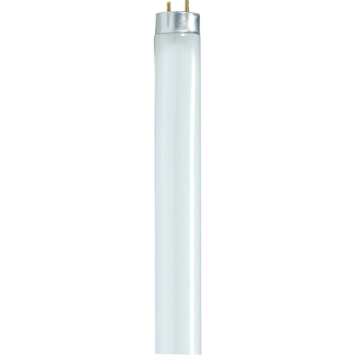 Trusted Satco 32W 47.8 In. Warm White T8 Medium Bi-Pin Fluorescent Tube Light Bulb Consistent