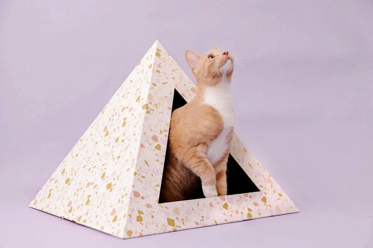 Unique ‘Terrazzo’ Cardboard Cat Pyramid Sustainable