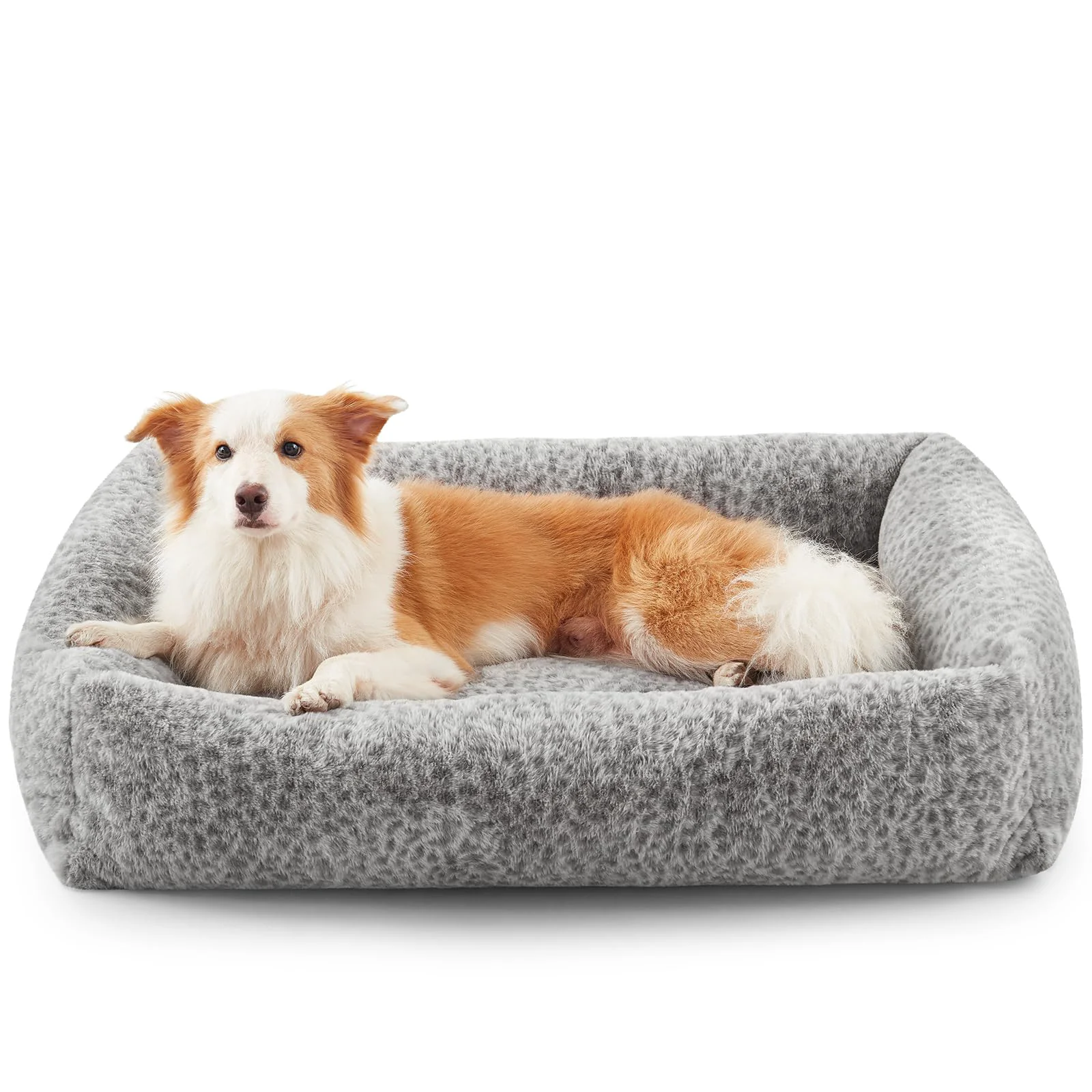 Advanced JOEJOY Large Dog Bed Washable Orthopedic Premium Soft Corduroy Fleece Bed with Non-Slip Bottom Classic