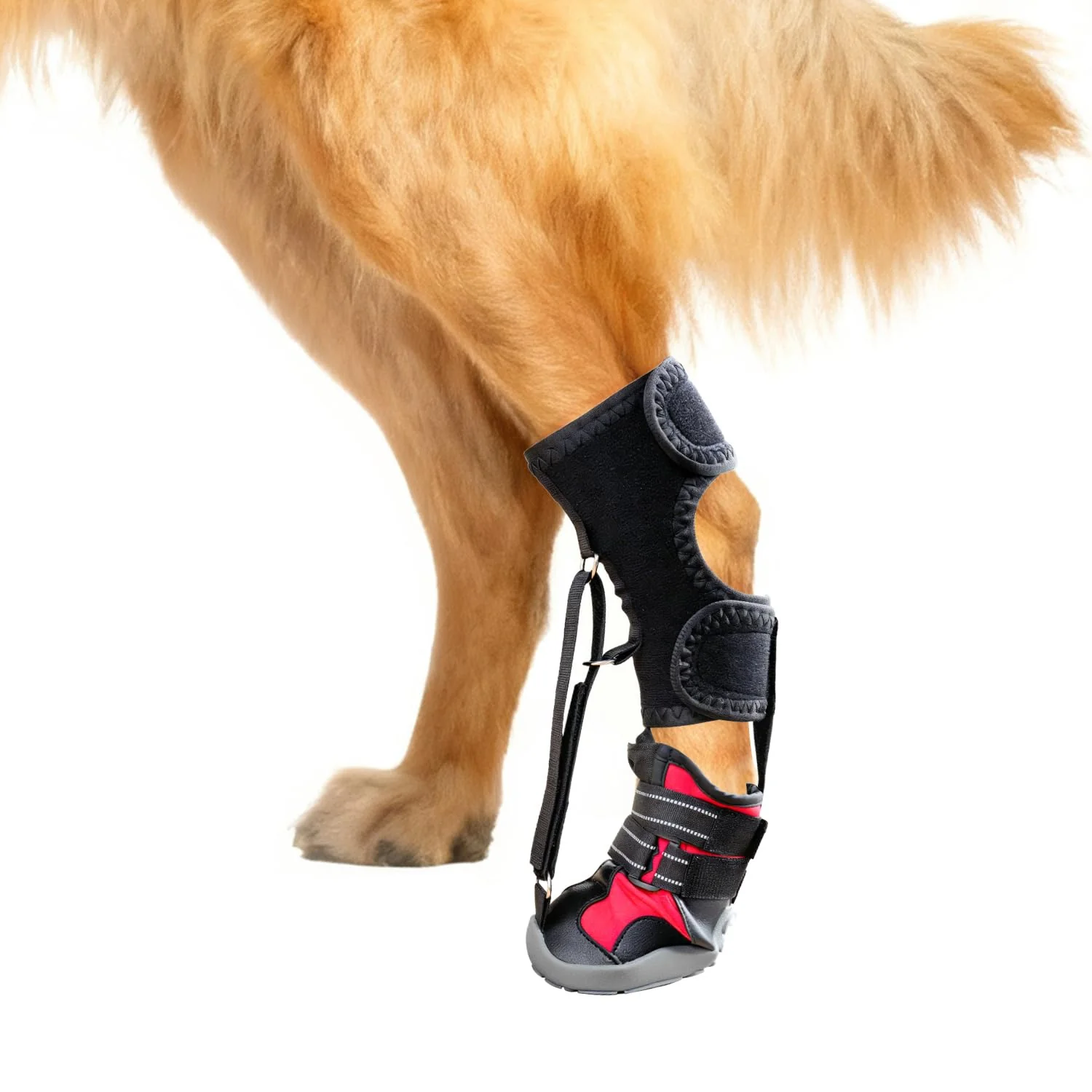 Luxury Apedret Dog Strap-On Drop Foot Orthotics Knuckleless Boots – Gait Support M Exceptional