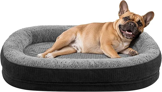 Dependable JOEJOY Orthopedic Dog Bed for Medium Dogs Egg-Crate Memory Foam Pet Bed with Bolster Sides Waterproof Lining Removable Washable Cover Non-Slip Bottom BlackAbout ThisOverview Durable