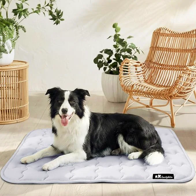Classic Luciphia Premium Dog Cooling Mat Non-Slip Q-MAX 0.5 Self-Cooling Pad for Medium Pet Indoor Portable Kennel Puppy Bed for Summer Crate Pad for Dog Washable Light Grey 30×40 inchesAbout ThisOverview Responsible