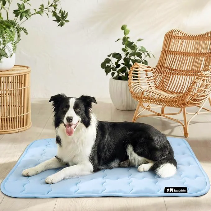 Exceptional Luciphia Premium Dog Cooling Mat Non-Slip Q-MAX 0.5 Self-Cooling Pad for Medium Pet Indoor Portable Kennel Puppy Bed for Summer Crate Pad for Dog Washable Light Blue 30×40 inchesAbout ThisOverview Environmentally Friendly