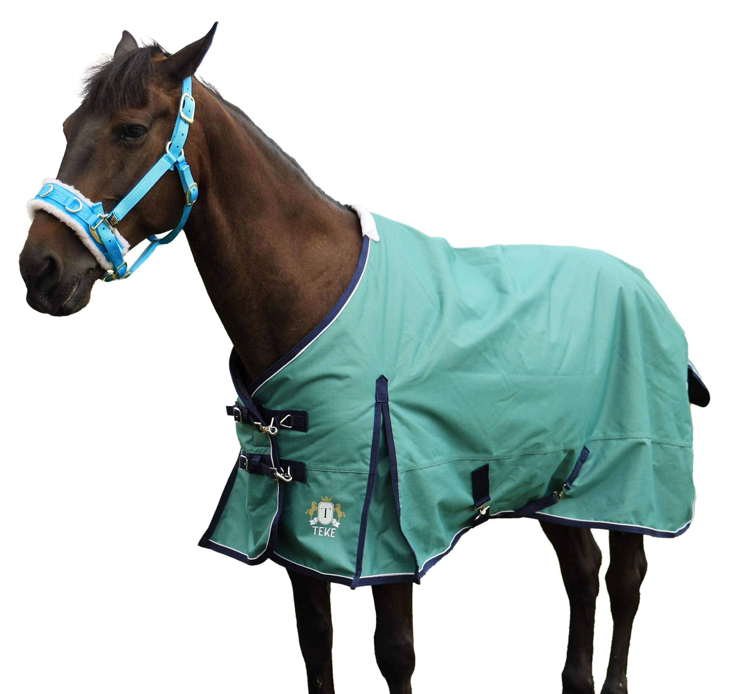 Versatile T TEKE Deluxe Turnout Horse Sheet 1200D Waterproof Breathable 51-87 in Mini Foal Premium Material