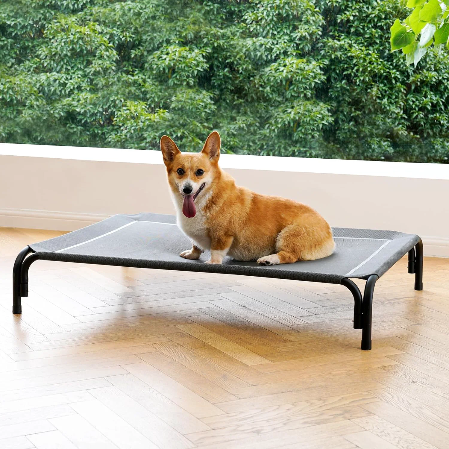 Expertly Made d Dog Bed Raised Outdoor Dog Cot for Medium Dogs Installation Requires No Tools Frame with Washable Cooling Breathable Mesh Anti-Slip Feet Indoor Pet Bed Grey 35.4 Inches Versatile