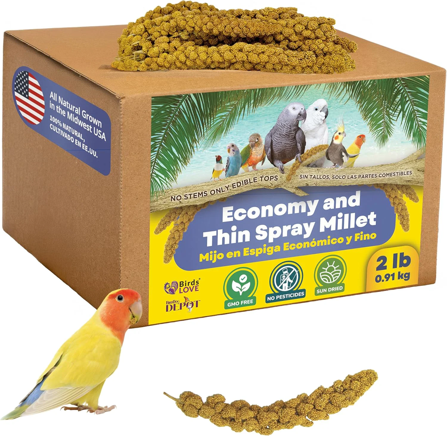 Effective Birds LOVE Economy Thin Special Spray Millet GMO- No Stems Only Edible Tops for Birds Cockatiel Lovebird Parakeet Finch Canary All Parrots Healthy Treat – 2lbs Dependable