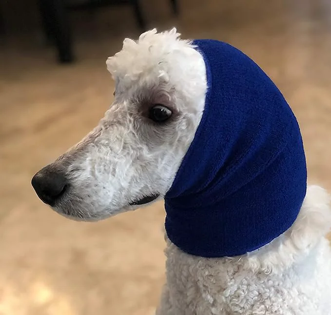 Easy-to-Use Pet Hoodz PHMB Pet Hoodies Blue – MediumAbout ThisOverview Verified