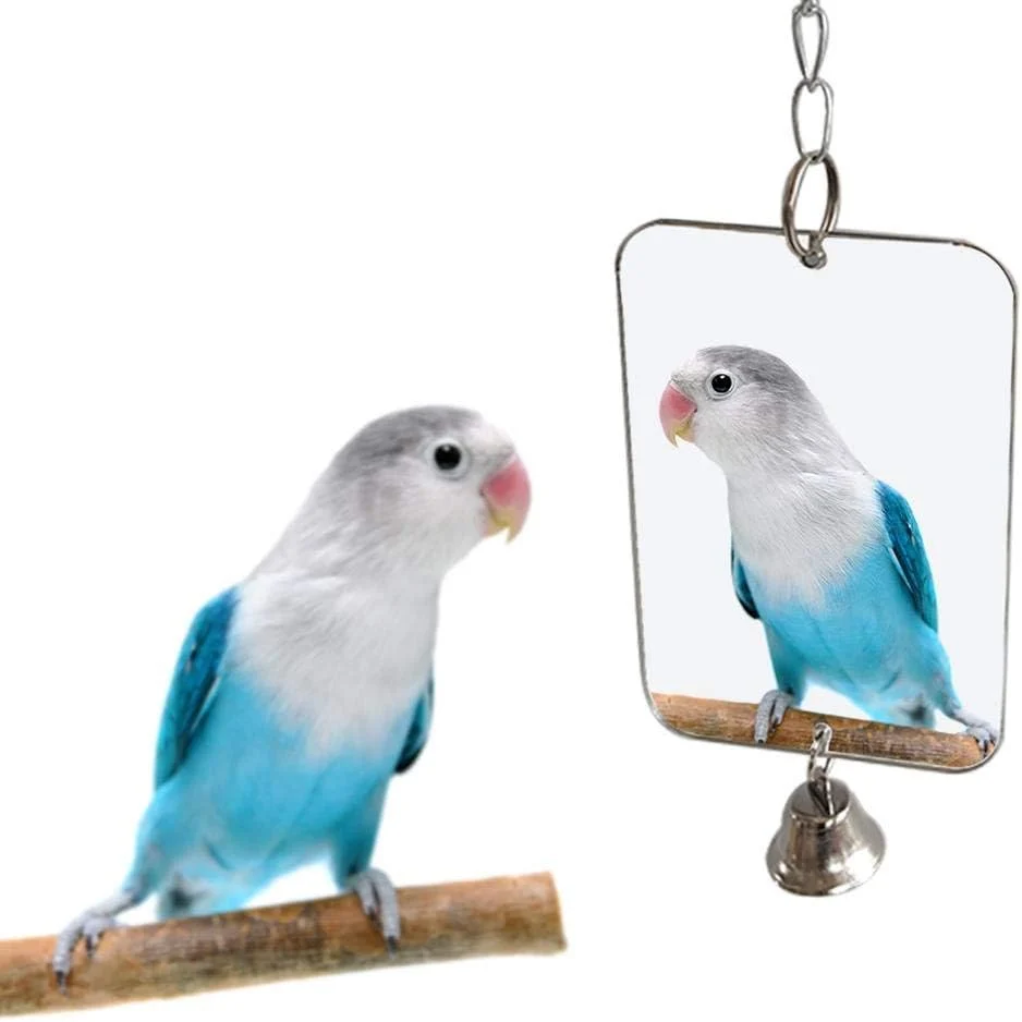 Safe Acrylic Bird Mirror for Small Birds Parrot Cage Toys 1PC 4.72 x 3.14 – Clear Unbreakable Hanging Mirror Cage Accessory for Parakeet Cockatiel Conure Lovebirds Budgies Long-Lasting