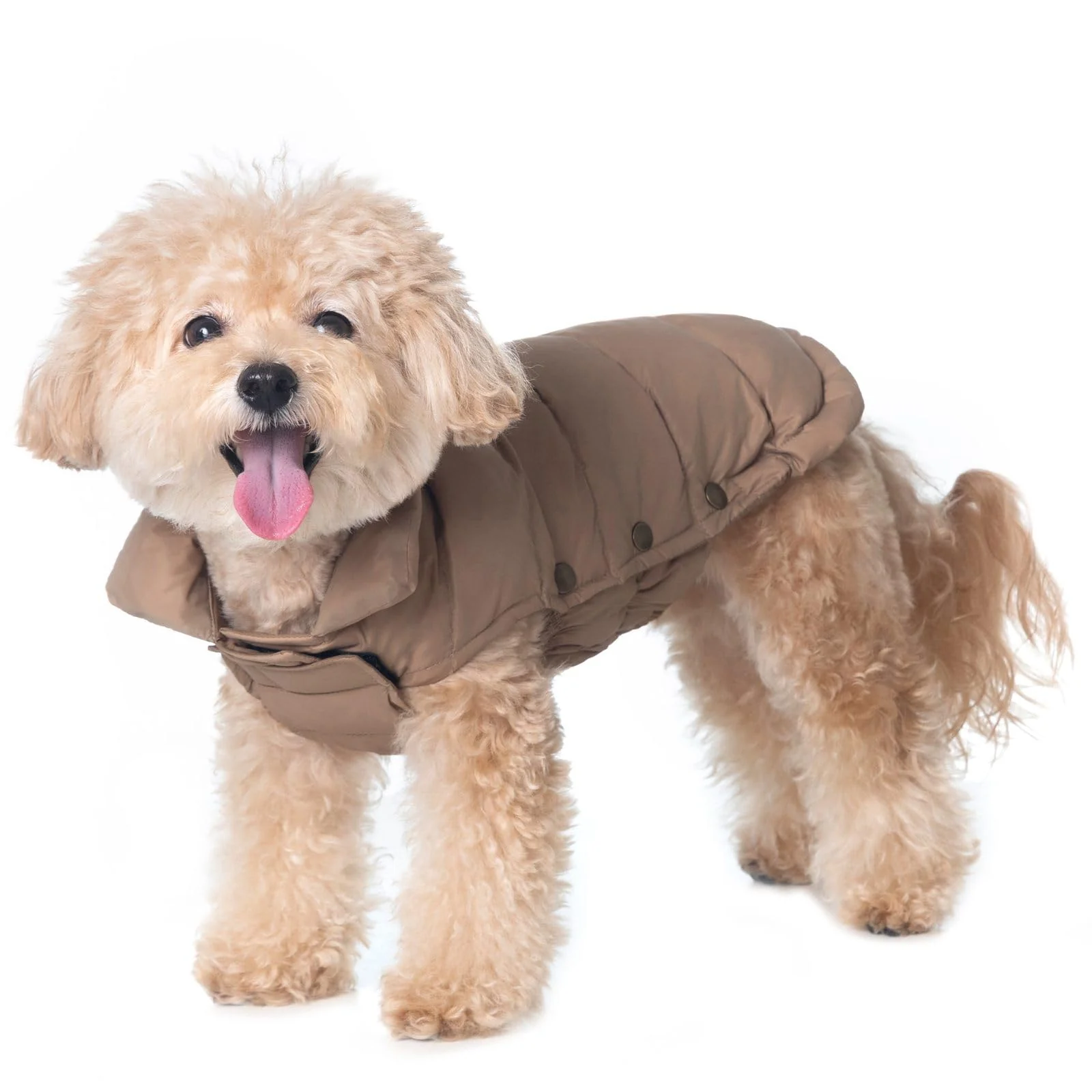 Breathable SPACE LION Dog Puffer Jacket — Lightweight Down Winter Coat for Cold Windy Weather Camel Fine