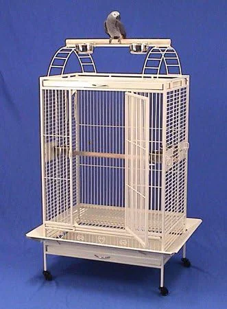 Expertly Made Lani Kai Lodge Playtop Large Bird Cage with Stand – Large Parrot Cage – for African Greys Cockatiels Mini Macaws Small Cockatoos – 32 W x 22 D x 64 H – Silver Vein Convenient
