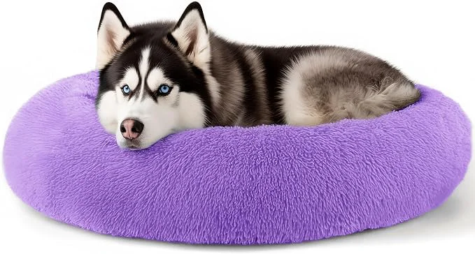 Secure Extra Large Dog Beds 36 Inch Human Dog Anxiety Relief Comfort Bed Indestructible Chew Proof Pet Beds Purple About ThisOverview Clean