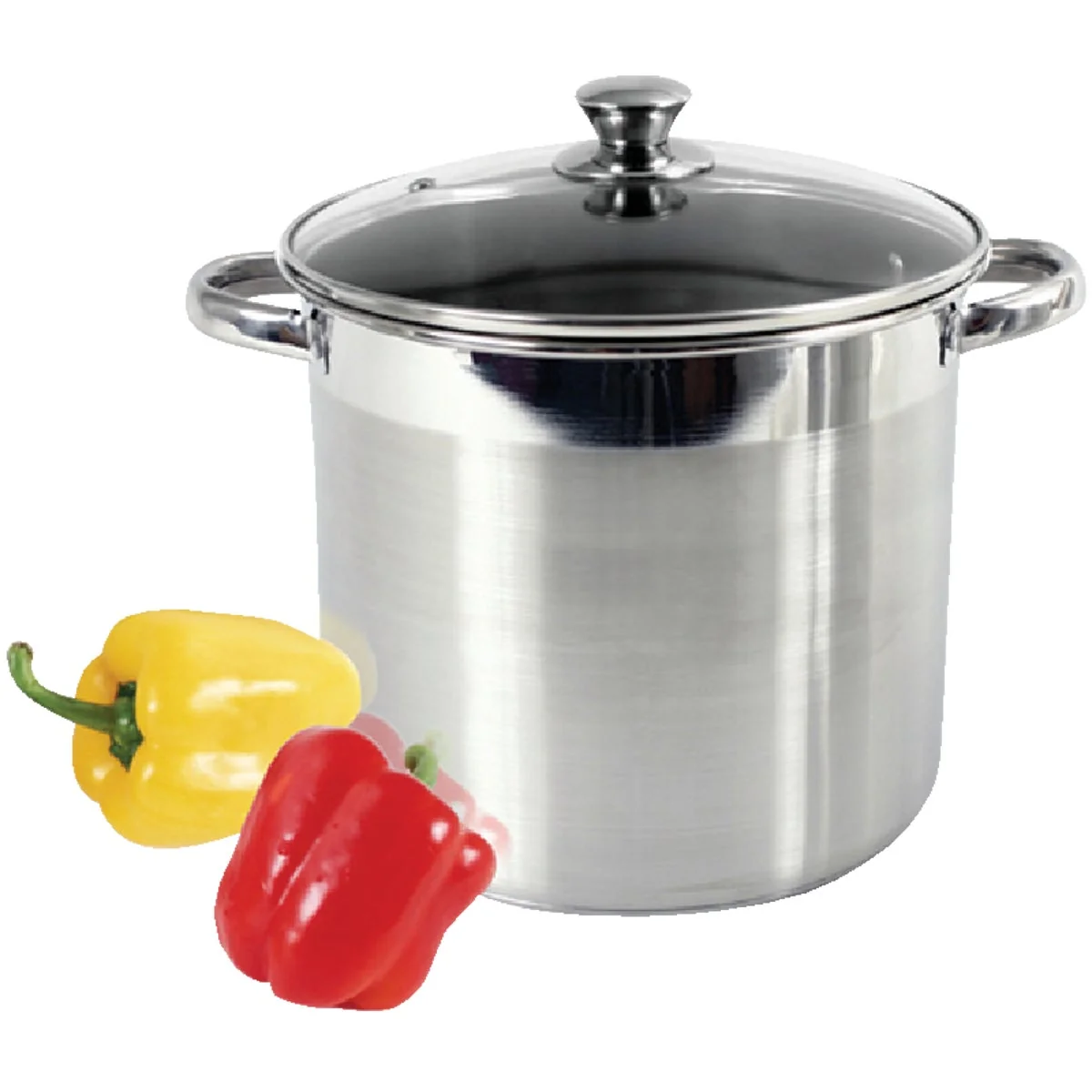 Modern McSunley 16 Qt. Stainless Steel Stockpot Elegant