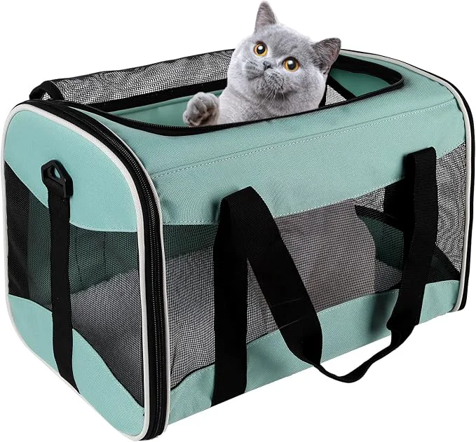 Functional Cat Carrying Case Innovative