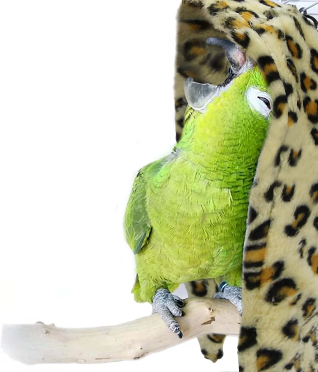 Original SIMENA Bird Blanket for Cage Corner Fleece Bed for Birds Cozy Bird Warmer Parrot House for Cage Cuddle Nest Hanging Toy for Lovebirds Parakeet Yellow Large Soft