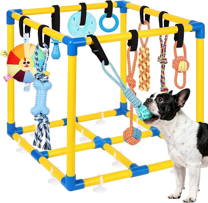 Sophisticated Puppy Play Gym for Small Dogs Advanced