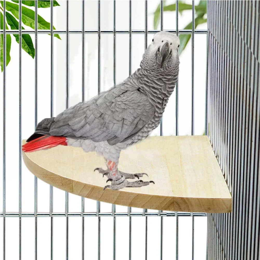 Detailed Litewoo Bird Parrot Corner Perch Flat Platform Stand Easy to Install Safe and Stable Smooth Polishing Without Hurting Feet Solid Hardwood Bird Cage Perches（XL） Specialty