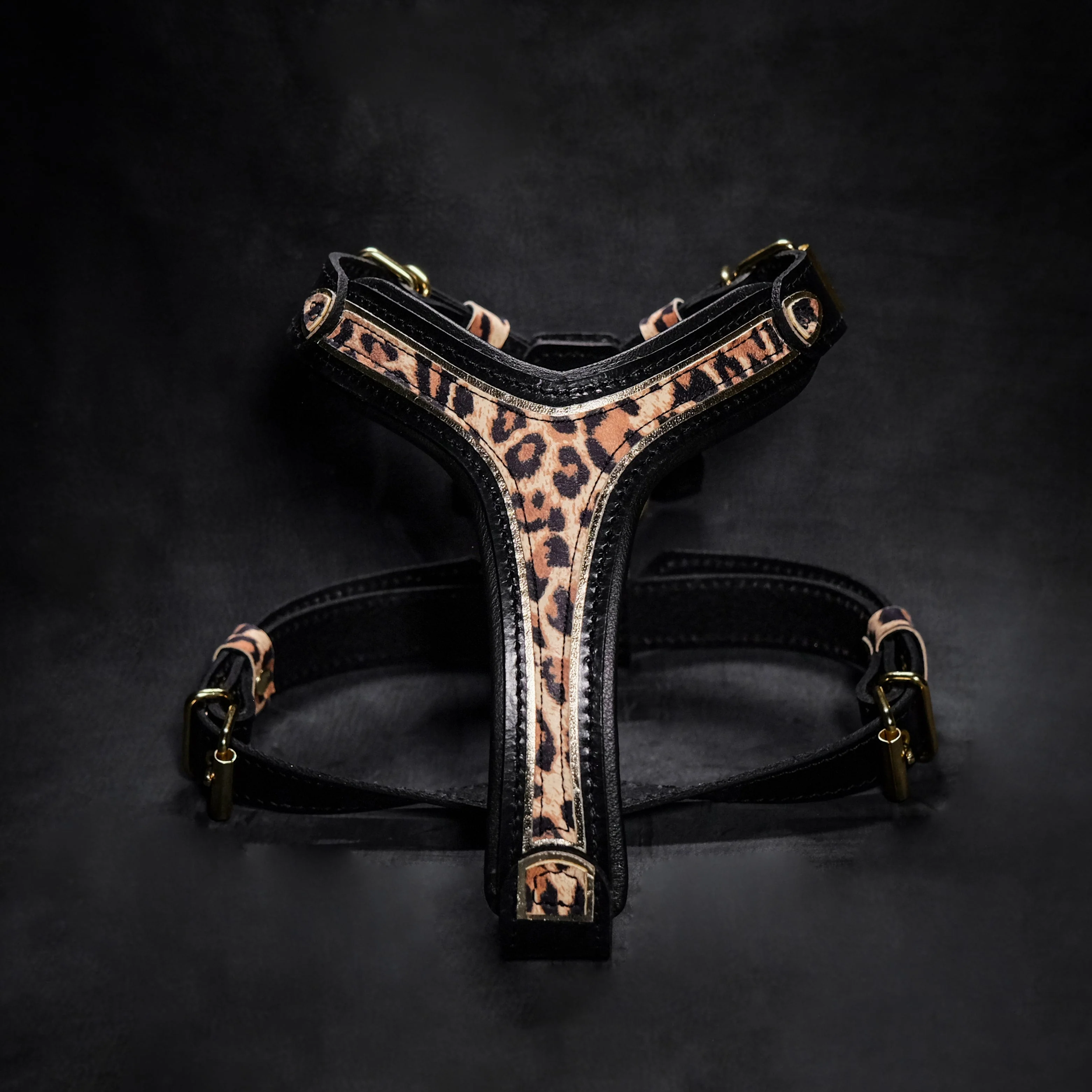 Contemporary The Leopard Harness Small to Medium Size Professional