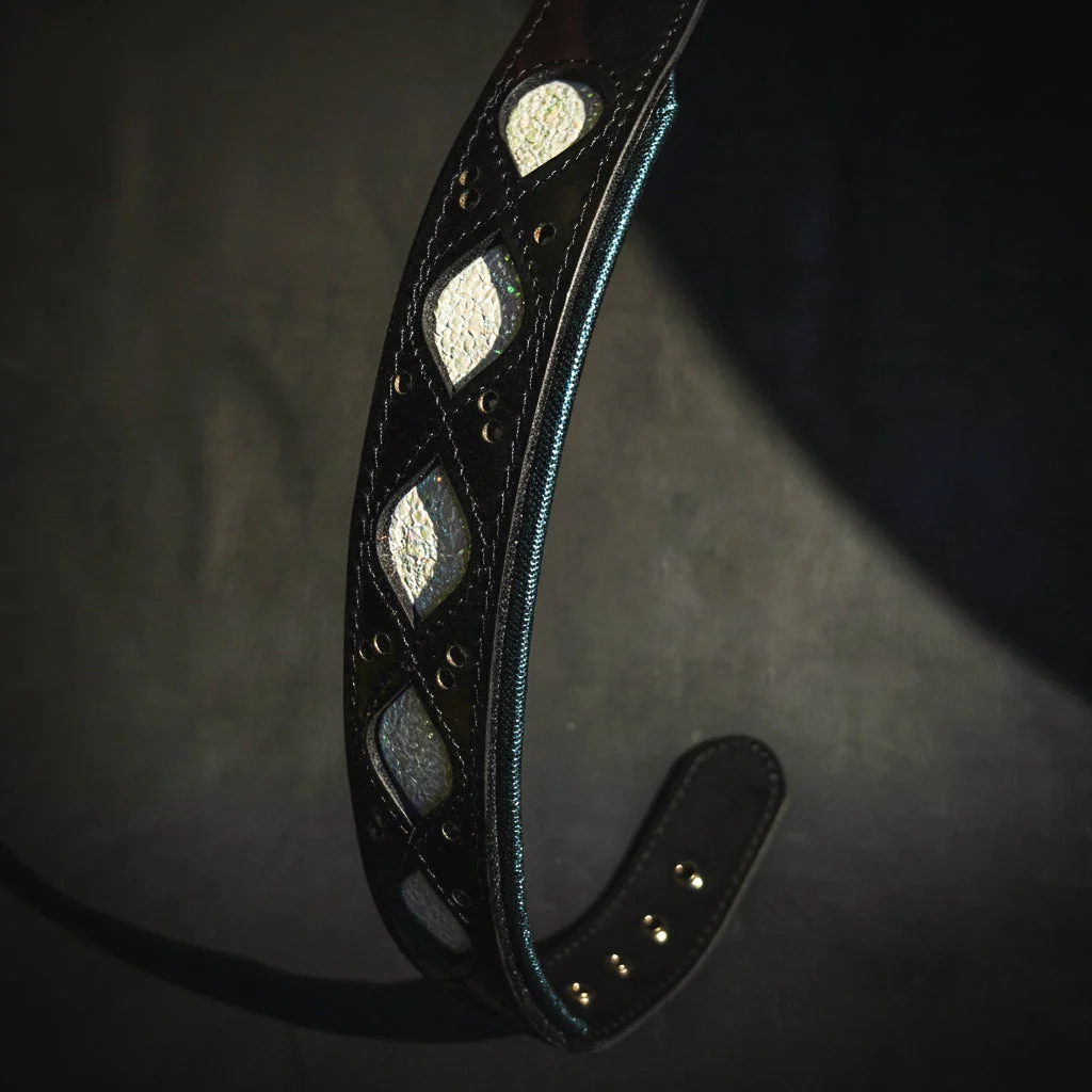 Secure The Avatar Collar Eco-Friendly