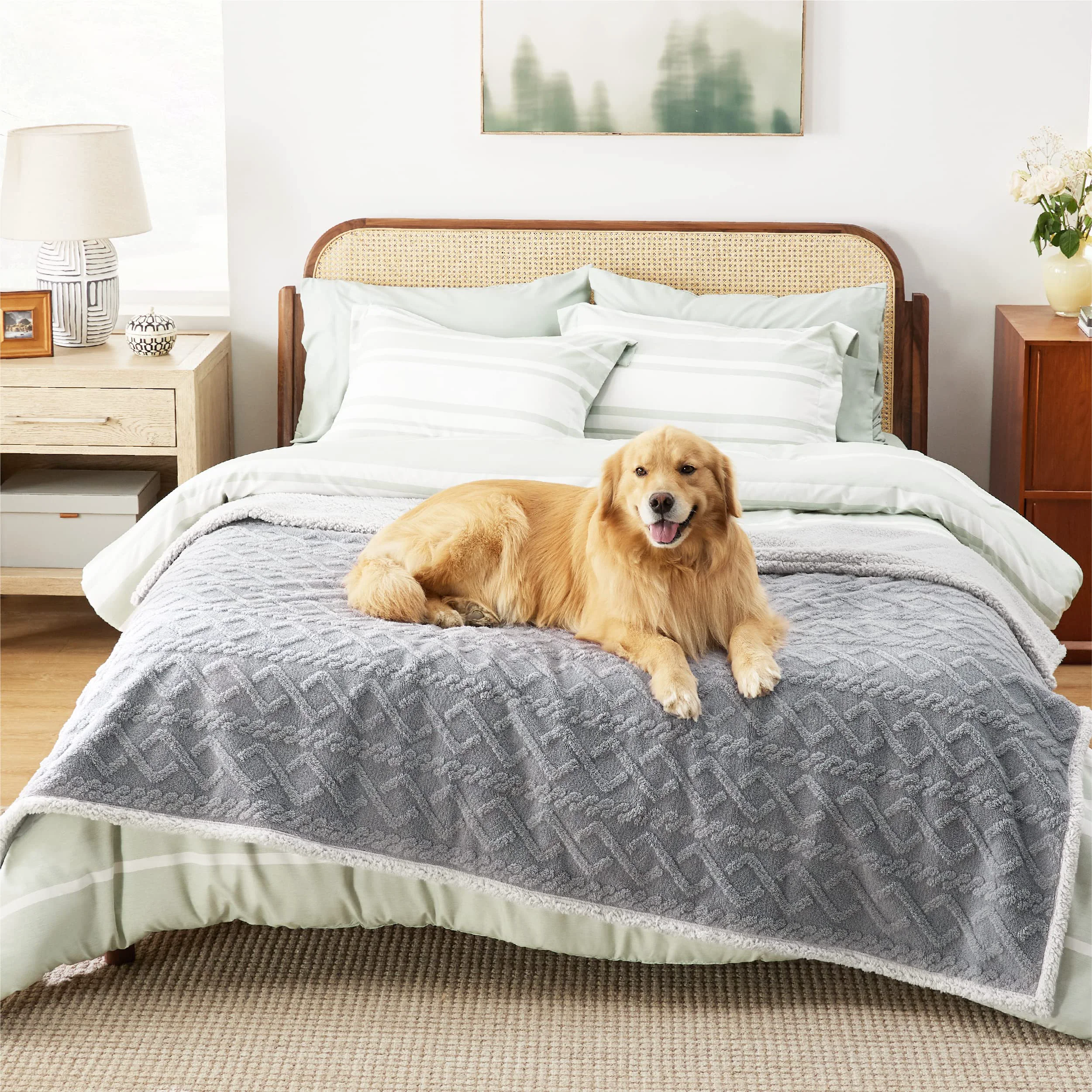 Contemporary Bedsure Waterproof Dog Blanket for Bed Couch — Reversible Jacquard Coral Fleece 86×90 in Grey Traditional