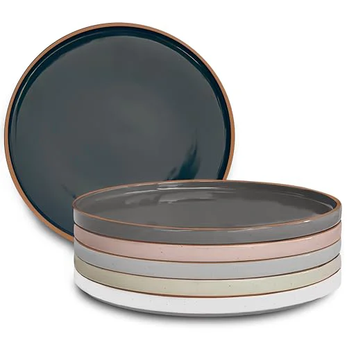 Convenient Ceramic Flat Dinner Plates Set of 6 6 Count Original