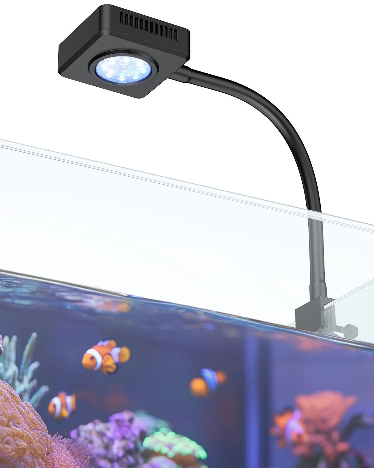 Advanced Pawfly 15W LED Aquarium Light — Blue White Red Spectrum for 1–10 Gallon Tanks Certified