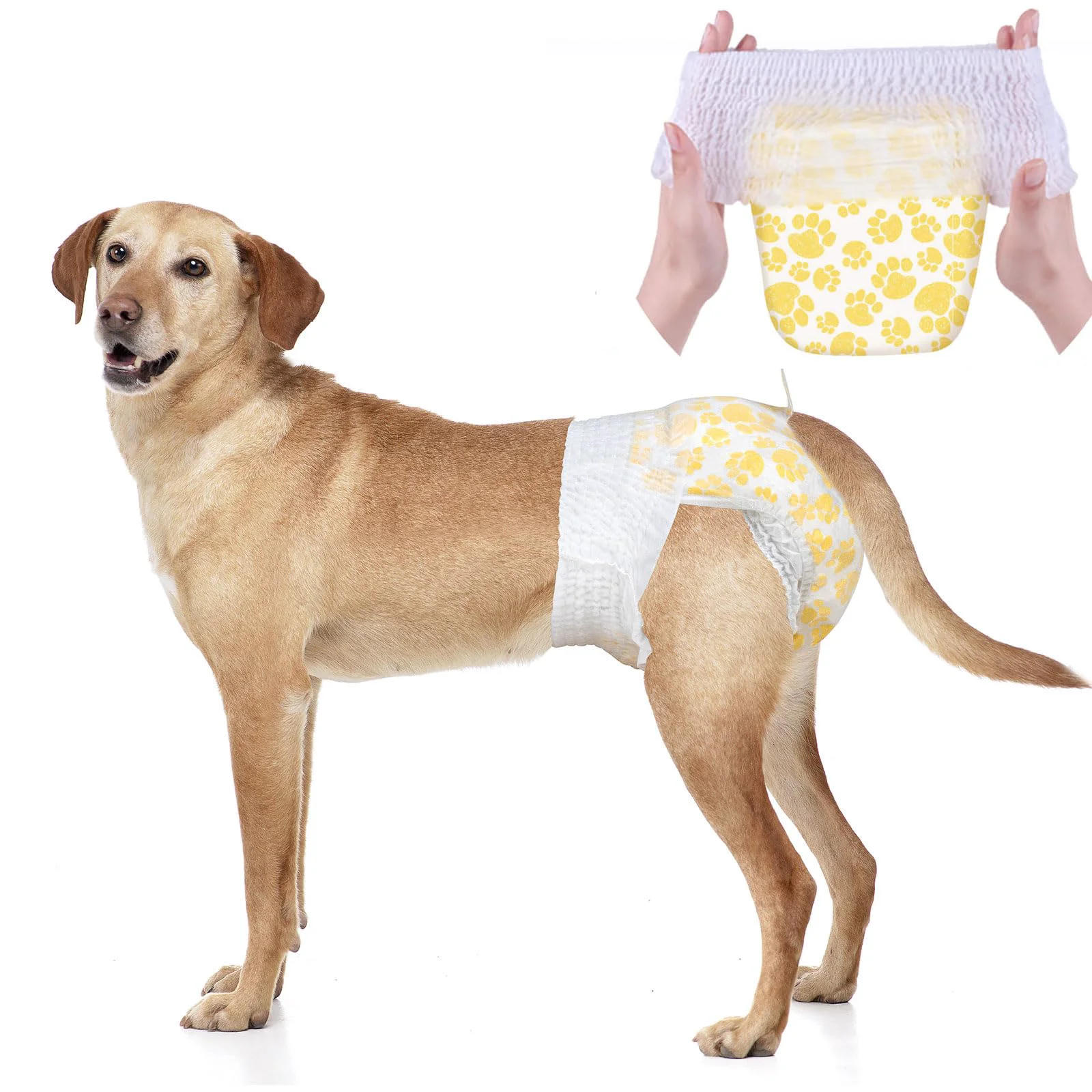Breathable Dono Dog Diapers Female with Stretchy Waist – 360° Leak-Proof Full Wrap Disposable L 60 Count Quality
