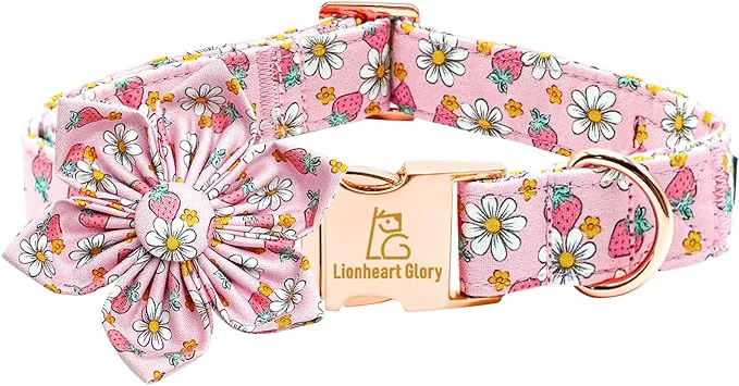 Consistent Lionheart glory Dog Collar Flower Collar Pink Dog Collar Durable