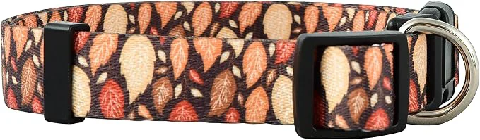 Exclusive Native Pup Thanksgiving Dog Collar- Fall Collars Versatile
