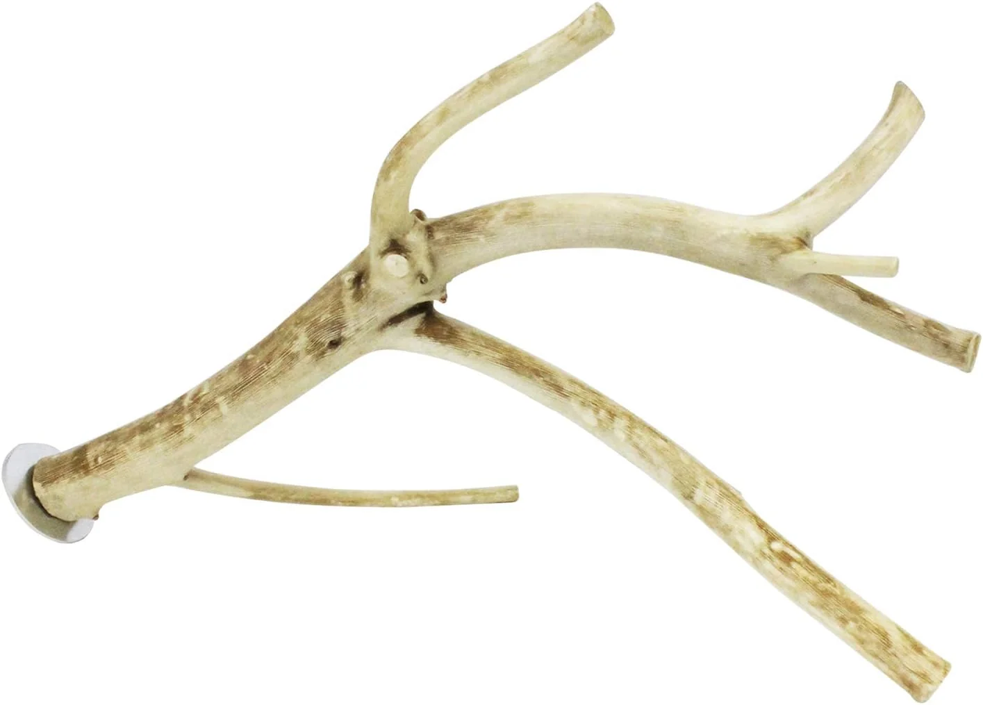 Premium Multi-Branch Perch Medium – Durable Natural Climbing Branch Perch Cage Accessory – Sugar Gliders Squirrels Prairie Dogs Degus Marmosets Monkeys Parrots Birds Rats Reptiles Amphibians Green