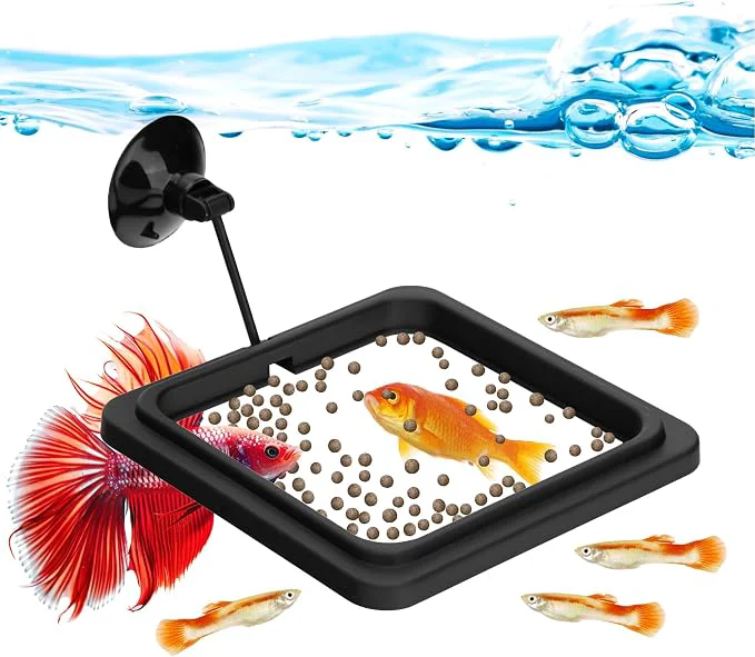Detailed Fish Feeding Ring Aquarium Square Floating Food Feeder Circle Dependable