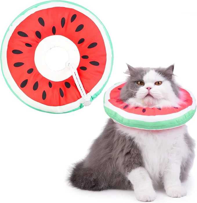 Minimalist Cat Cone Collar Soft Waterproof Cat Recovery Collar Sustainable