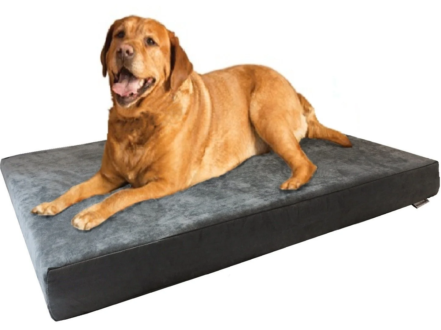 Carefully Designed Dogbed4less XL Orthopedic Gel-Infused Memory Foam Dog Bed — 47x29x4 Waterproof Lining Fits 48×30 Crates Proven