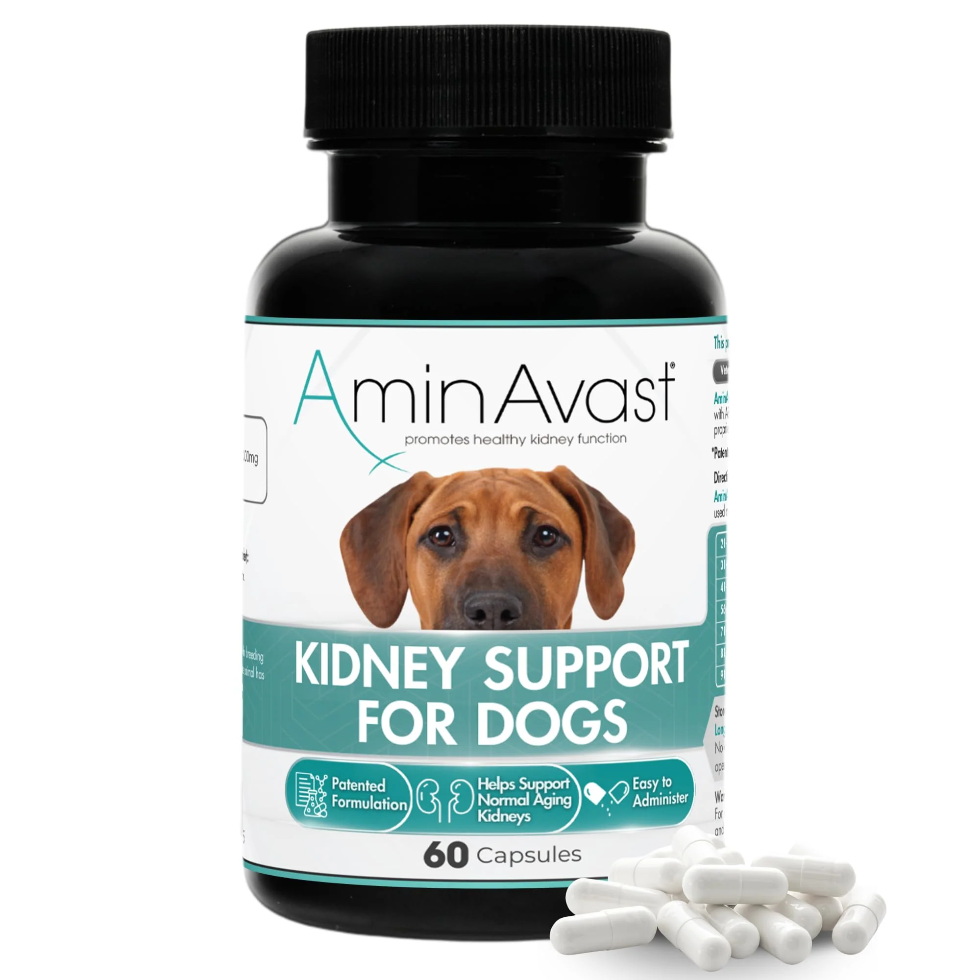 Pure AminAvast Dog Kidney Supplement 1000mg Supports Natural Kidney Function Easy-to-Use